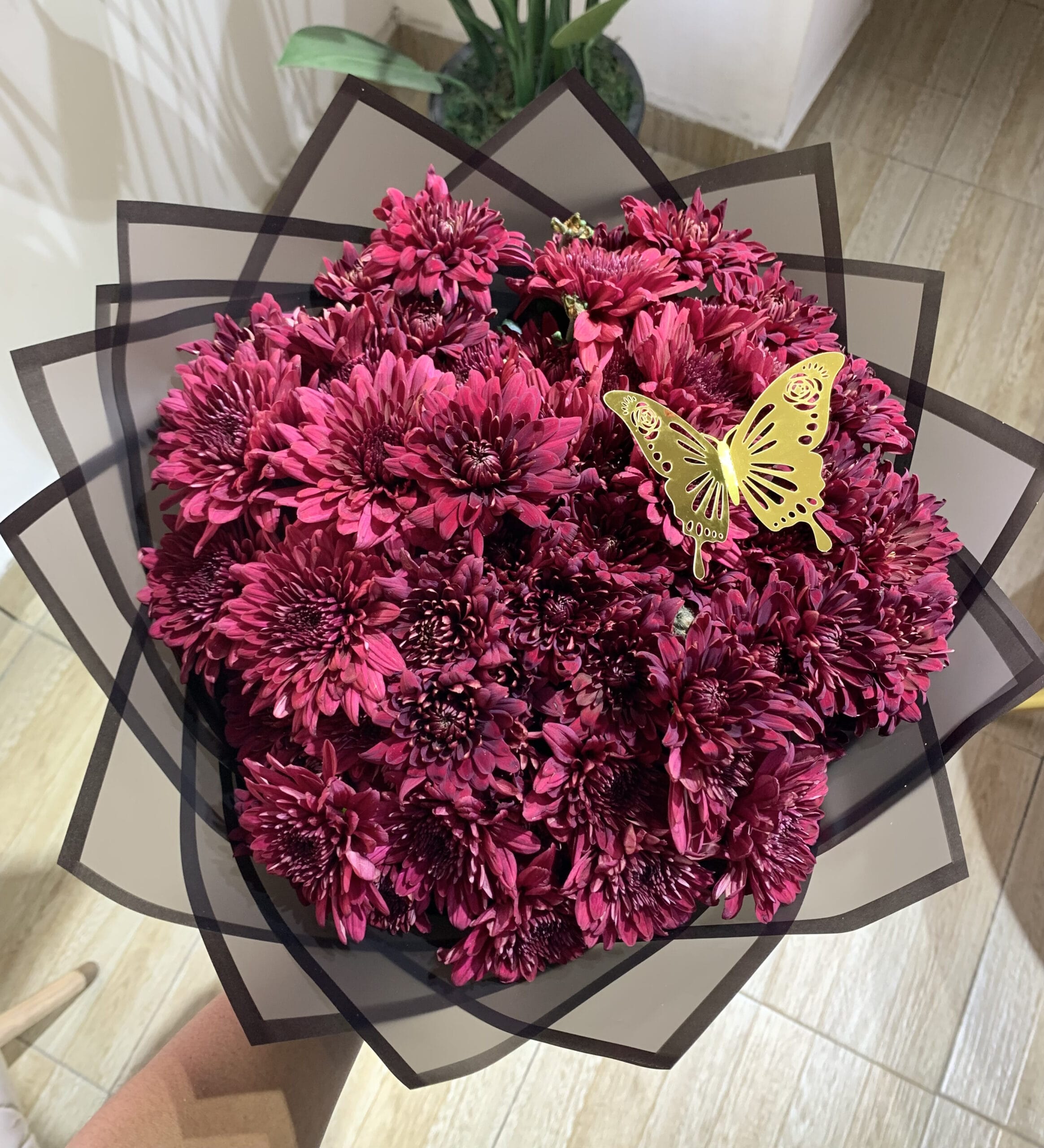 Red Chrysanthemums for Birthdays, Anniversary, Romance and more